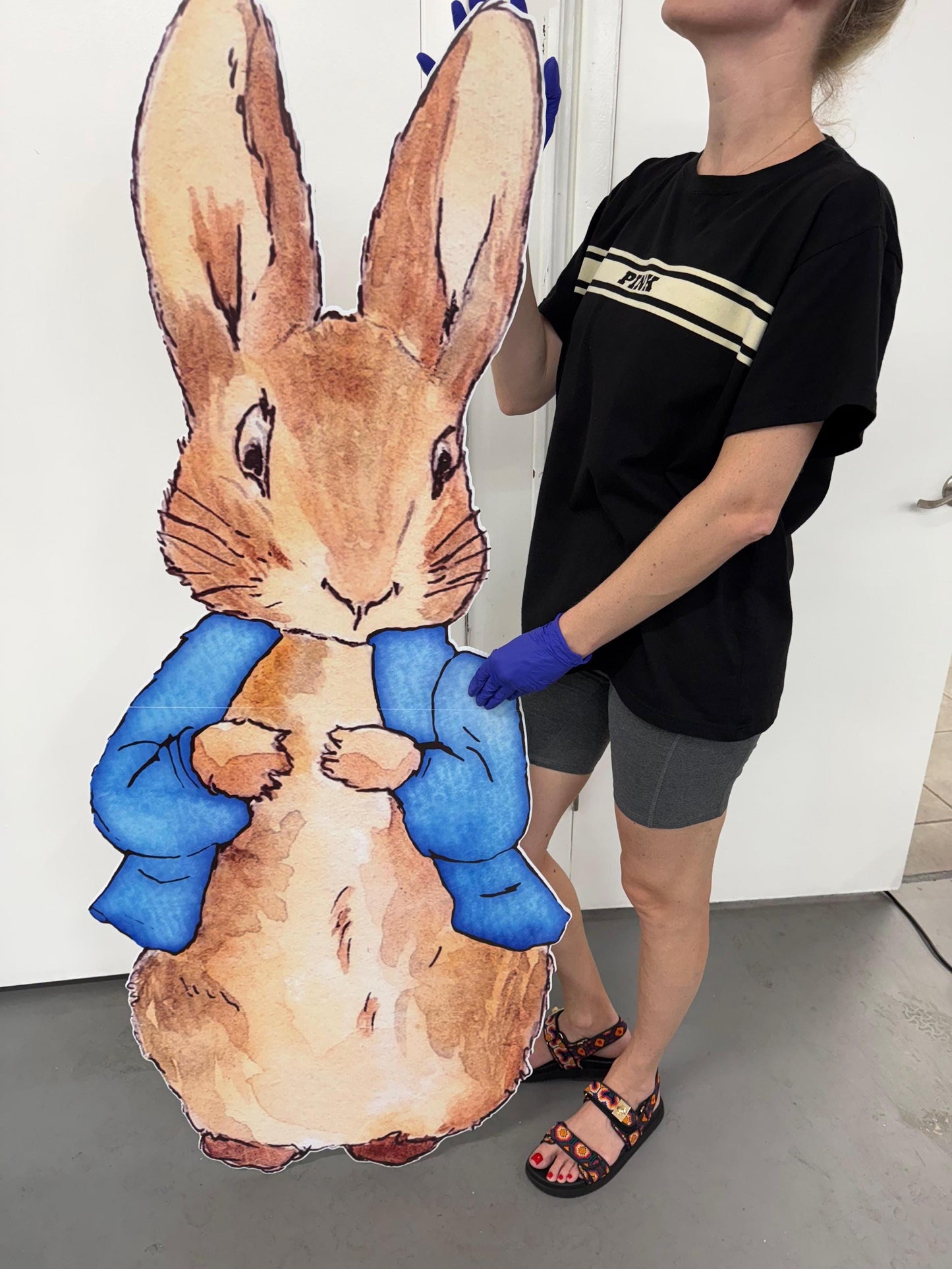 Peter Rabbit Cutout Decoration, Rabbit Baby Shower Decor, Backdrop Decor, Yard Sign Art, Garden Decor,Easter Bunny Art,Rabbit Garden Stakes