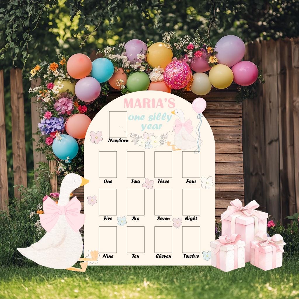 One Silly Goose First Birthday Photo Board, Baby Milestone Display, First Birthday, Vintage Goose, Signs, First Year Photo Board, Cutouts